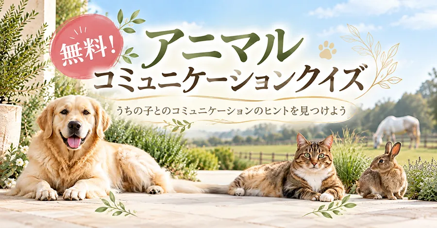 animalquiz_bg_sp