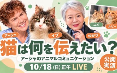 【無料ライブ】アーシャのアニマルコミュニケーション実演!生配信します